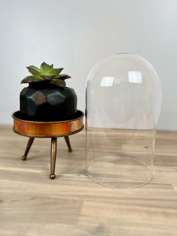 Cloche & Candle - Image 4