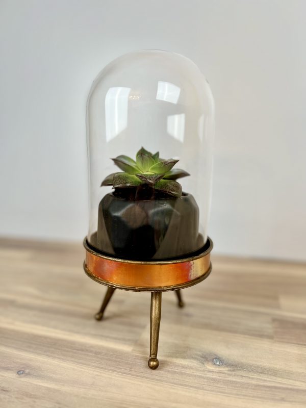 Cloche & Candle - Image 5