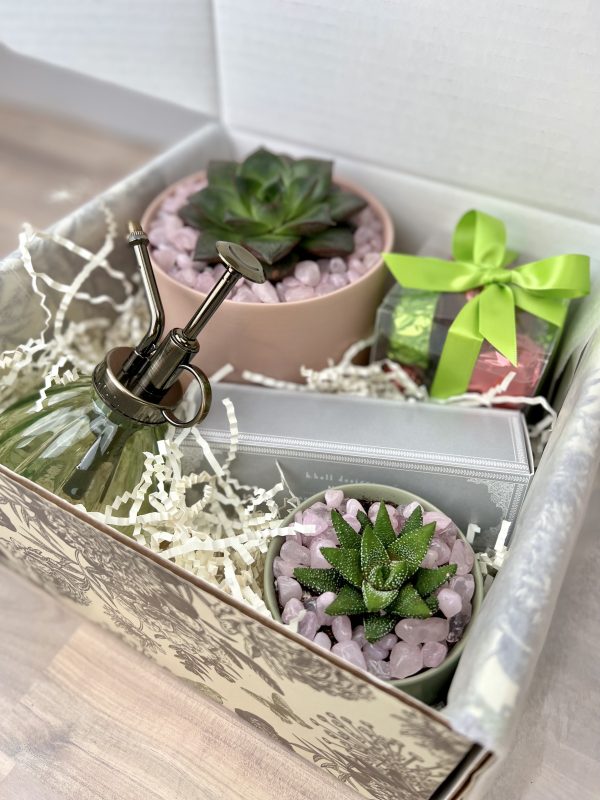 Signature Pink/Green Gift Box - Image 3