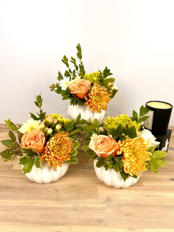 Thanksgiving centerpiece White Pumpkin Trio