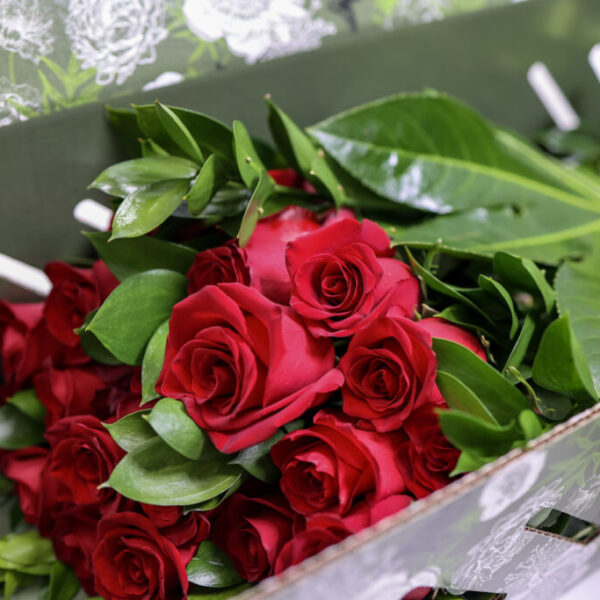 Signature Flower Box Red Roses